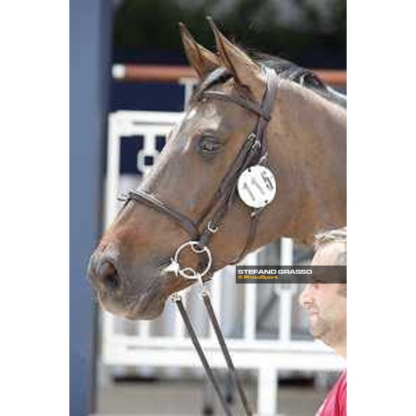 LGCT of St Tropez - Vet check - Carolina 31 - St Tropez, Ramatuelle beach - 30 May 2018 - ph.Stefano Grasso/LGCT