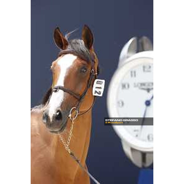 LGCT of St Tropez - Vet check - G&C Arrayan - St Tropez, Ramatuelle beach - 30 May 2018 - ph.Stefano Grasso/LGCT