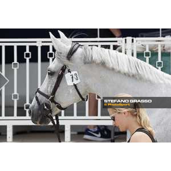 LGCT of St Tropez - Vet check - Fidux - St Tropez, Ramatuelle beach - 30 May 2018 - ph.Stefano Grasso/LGCT
