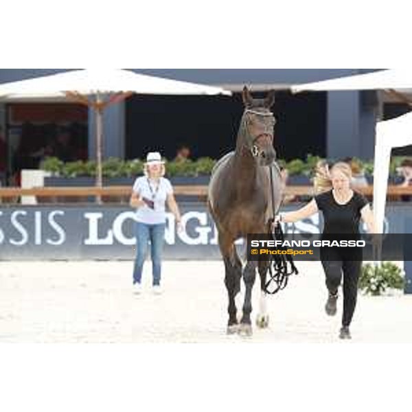 LGCT of St Tropez - Vet check - Dalila de la Pomme - St Tropez, Ramatuelle beach - 30 May 2018 - ph.Stefano Grasso/LGCT