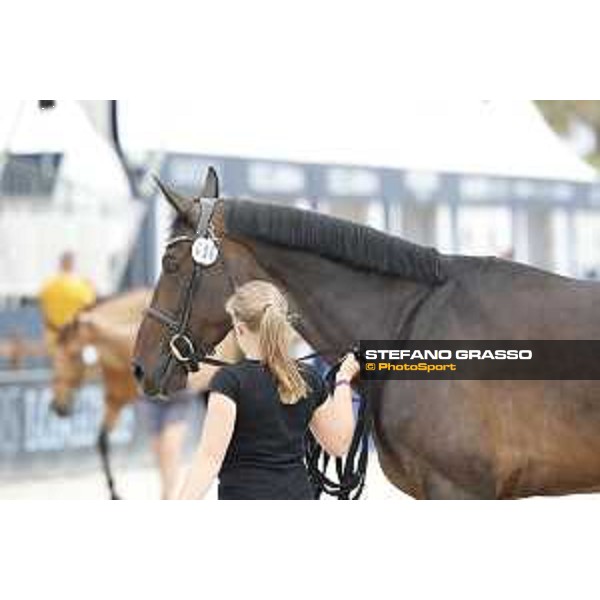 LGCT of St Tropez - Vet check - Dalila de la Pomme - St Tropez, Ramatuelle beach - 30 May 2018 - ph.Stefano Grasso/LGCT