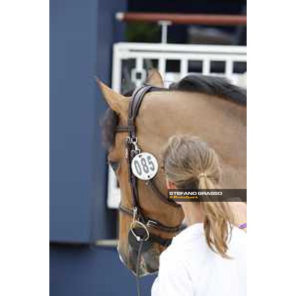 LGCT of St Tropez - Vet check - Hello Jefferson - St Tropez, Ramatuelle beach - 30 May 2018 - ph.Stefano Grasso/LGCT