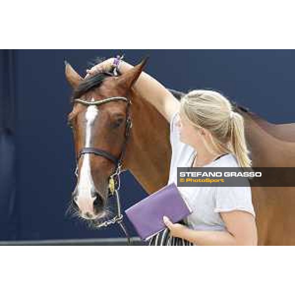 LGCT of St Tropez - Vet check - Verones Team Joy - St Tropez, Ramatuelle beach - 30 May 2018 - ph.Stefano Grasso/LGCT
