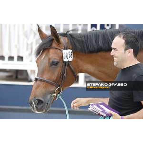 LGCT of St Tropez - Vet check - Caspar 213 - St Tropez, Ramatuelle beach - 30 May 2018 - ph.Stefano Grasso/LGCT