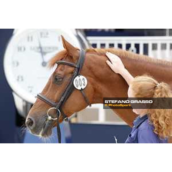 LGCT of St Tropez - Vet check - Casello - St Tropez, Ramatuelle beach - 30 May 2018 - ph.Stefano Grasso/LGCT