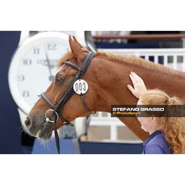 LGCT of St Tropez - Vet check - Casello - St Tropez, Ramatuelle beach - 30 May 2018 - ph.Stefano Grasso/LGCT