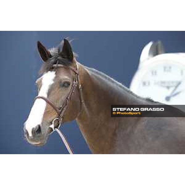 LGCT of St Tropez - Vet check - Idi Utopia - St Tropez, Ramatuelle beach - 30 May 2018 - ph.Stefano Grasso/LGCT
