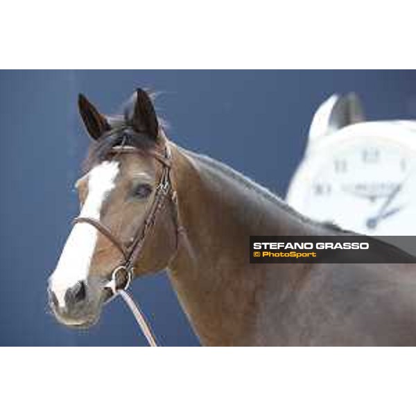 LGCT of St Tropez - Vet check - Idi Utopia - St Tropez, Ramatuelle beach - 30 May 2018 - ph.Stefano Grasso/LGCT