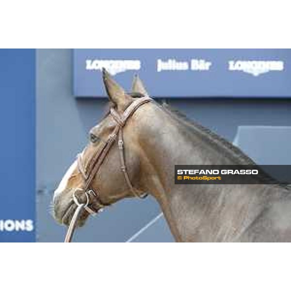 LGCT of St Tropez - Vet check - Idi Utopia - St Tropez, Ramatuelle beach - 30 May 2018 - ph.Stefano Grasso/LGCT