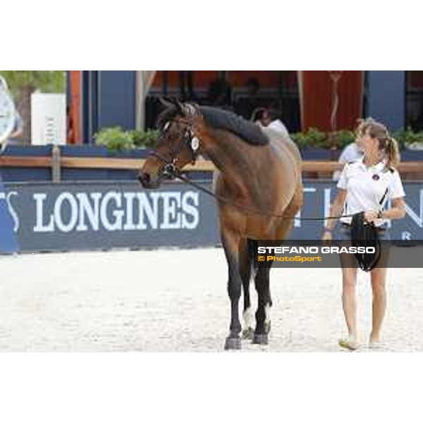 LGCT of St Tropez - Vet check - Hello Mr President - St Tropez, Ramatuelle beach - 30 May 2018 - ph.Stefano Grasso/LGCT
