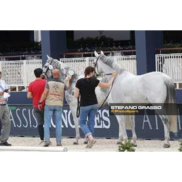 LGCT of St Tropez - Vet check - St Tropez, Ramatuelle beach - 30 May 2018 - ph.Stefano Grasso/LGCT