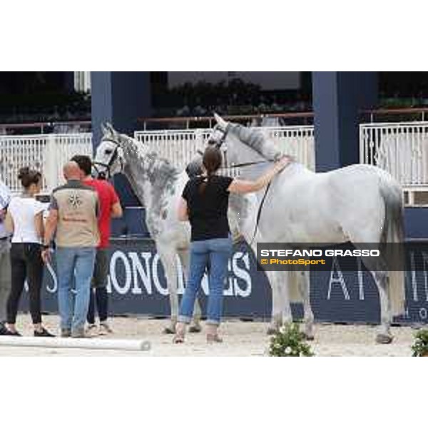LGCT of St Tropez - Vet check - St Tropez, Ramatuelle beach - 30 May 2018 - ph.Stefano Grasso/LGCT