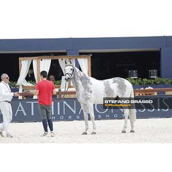 LGCT of St Tropez - Vet check - Cornet 39 - St Tropez, Ramatuelle beach - 30 May 2018 - ph.Stefano Grasso/LGCT