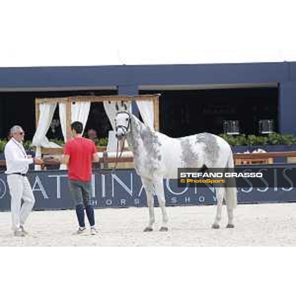 LGCT of St Tropez - Vet check - Cornet 39 - St Tropez, Ramatuelle beach - 30 May 2018 - ph.Stefano Grasso/LGCT
