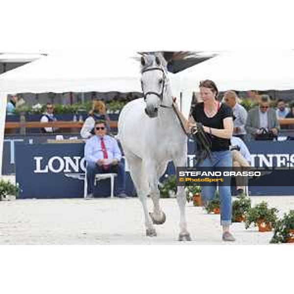 LGCT of St Tropez - Vet check - Gin Chin v. Lindenhof - St Tropez, Ramatuelle beach - 30 May 2018 - ph.Stefano Grasso/LGCT