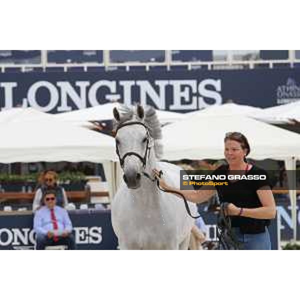 LGCT of St Tropez - Vet check - Gin Chin v. Lindenhof - St Tropez, Ramatuelle beach - 30 May 2018 - ph.Stefano Grasso/LGCT