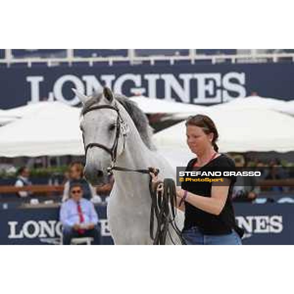 LGCT of St Tropez - Vet check - Gin Chin v. Lindenhof - St Tropez, Ramatuelle beach - 30 May 2018 - ph.Stefano Grasso/LGCT