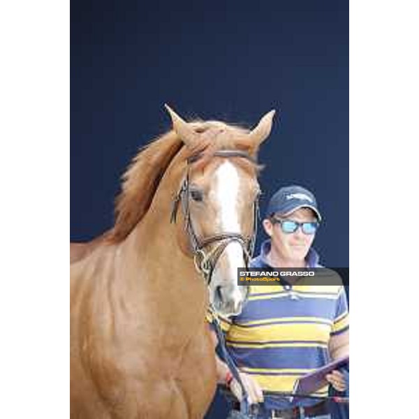 LGCT of St Tropez - Vet check - Emerald - St Tropez, Ramatuelle beach - 30 May 2018 - ph.Stefano Grasso/LGCT