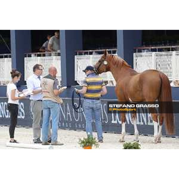 LGCT of St Tropez - Vet check - Emerald - St Tropez, Ramatuelle beach - 30 May 2018 - ph.Stefano Grasso/LGCT