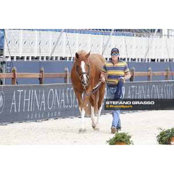 LGCT of St Tropez - Vet check - Emerald - St Tropez, Ramatuelle beach - 30 May 2018 - ph.Stefano Grasso/LGCT