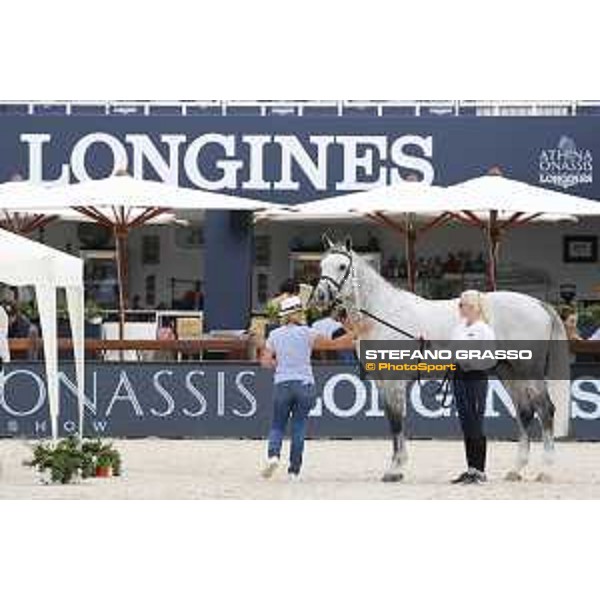 LGCT of St Tropez - Vet check - Jackass 111 - St Tropez, Ramatuelle beach - 30 May 2018 - ph.Stefano Grasso/LGCT