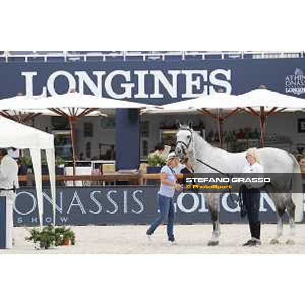 LGCT of St Tropez - Vet check - Jackass 111 - St Tropez, Ramatuelle beach - 30 May 2018 - ph.Stefano Grasso/LGCT