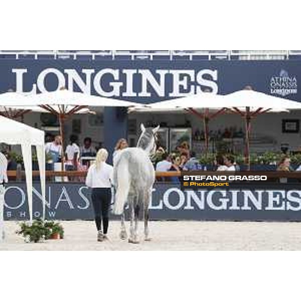 LGCT of St Tropez - Vet check - Jackass 111 - St Tropez, Ramatuelle beach - 30 May 2018 - ph.Stefano Grasso/LGCT