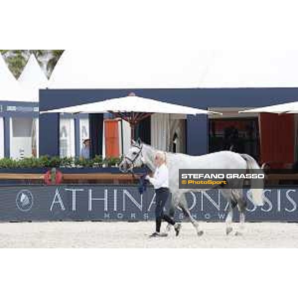 LGCT of St Tropez - Vet check - Jackass 111 - St Tropez, Ramatuelle beach - 30 May 2018 - ph.Stefano Grasso/LGCT