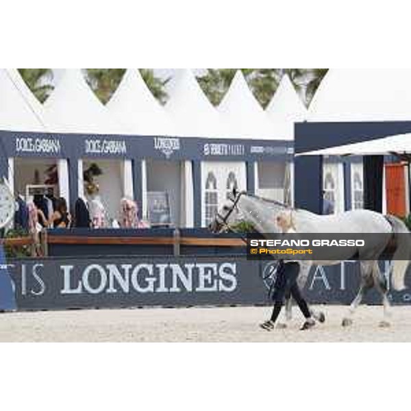 LGCT of St Tropez - Vet check - Jackass 111 - St Tropez, Ramatuelle beach - 30 May 2018 - ph.Stefano Grasso/LGCT