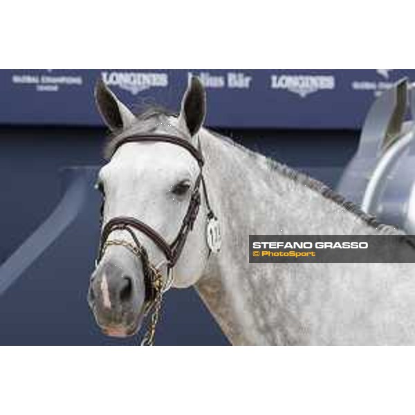 LGCT of St Tropez - Vet check - Jackass 111 - St Tropez, Ramatuelle beach - 30 May 2018 - ph.Stefano Grasso/LGCT