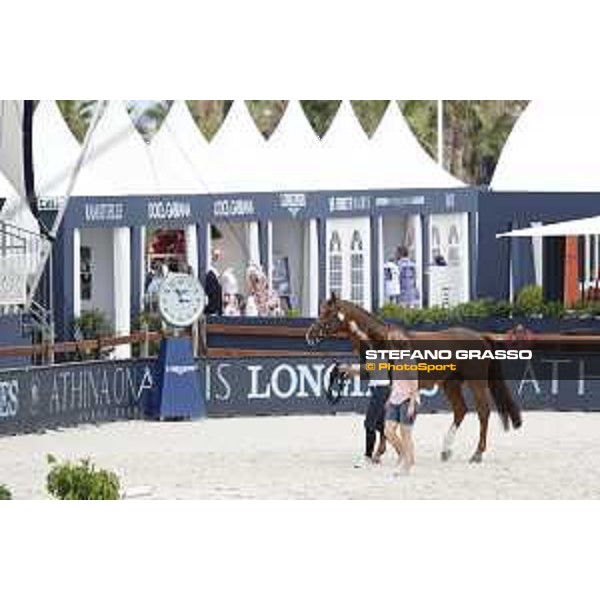 LGCT of St Tropez - Vet check - St Tropez, Ramatuelle beach - 30 May 2018 - ph.Stefano Grasso/LGCT