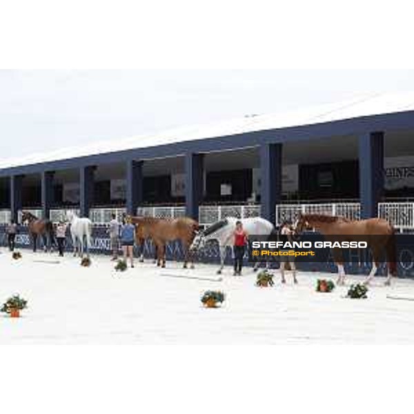 LGCT of St Tropez - Vet check - St Tropez, Ramatuelle beach - 30 May 2018 - ph.Stefano Grasso/LGCT