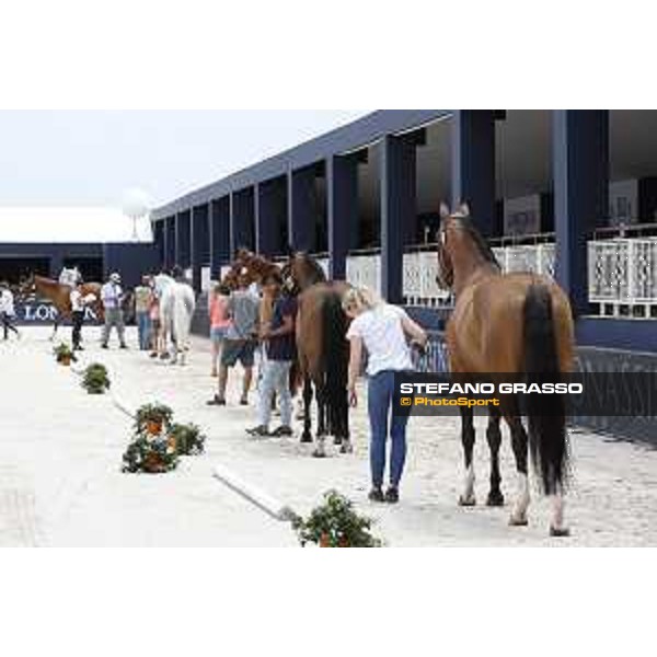 LGCT of St Tropez - Vet check - St Tropez, Ramatuelle beach - 30 May 2018 - ph.Stefano Grasso/LGCT