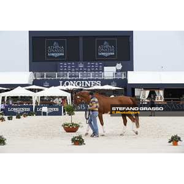LGCT of St Tropez - Vet check - Emerald - St Tropez, Ramatuelle beach - 30 May 2018 - ph.Stefano Grasso/LGCT