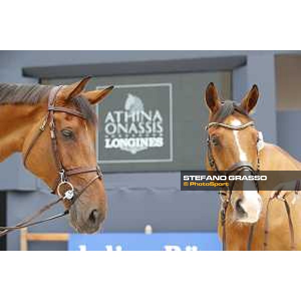 LGCT of St Tropez - Vet check - Cleaner and Super Sox - St Tropez, Ramatuelle beach - 30 May 2018 - ph.Stefano Grasso/LGCT
