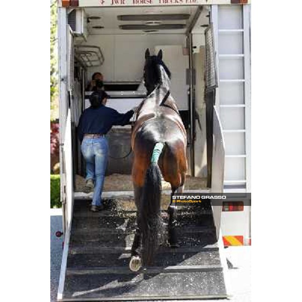 Varenne enters the van that will bring him to Sweden Vigone (To), 23rd april 2008 ph. Stefano Grasso