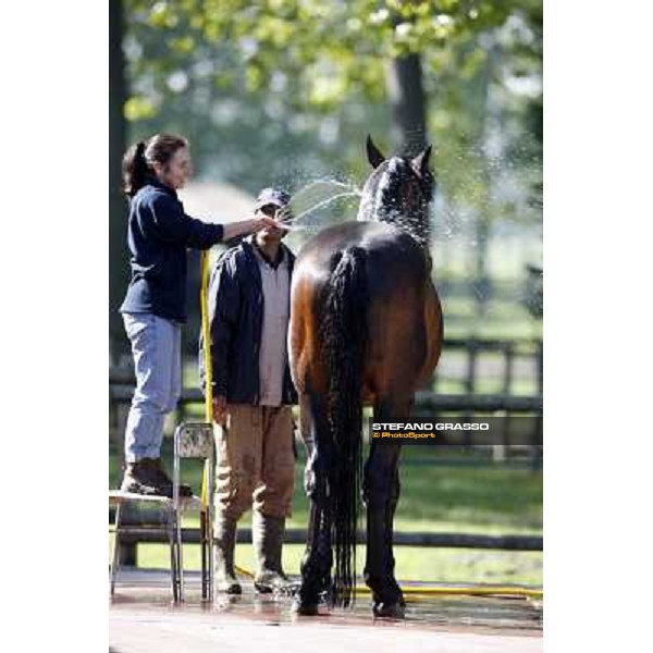 Anna at All. del Grifone prepares Varenne before leaving to Sweden Vigone (To), 23rd april 2008 ph. Stefano Grasso