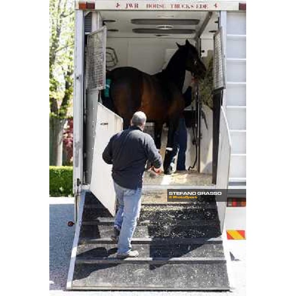 Varenne inside the van that will bring him to Sweden Vigone (To), 23rd april 2008 ph. Stefano Grasso