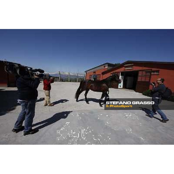 Varenne walking at All. del Grifone before leaving to Sweden Vigone (To), 23rd april 2008 ph. Stefano Grasso