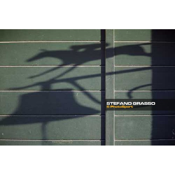 shadow at Sab stud farm Besnate, 24th april 2008 ph. Stefano Grasso