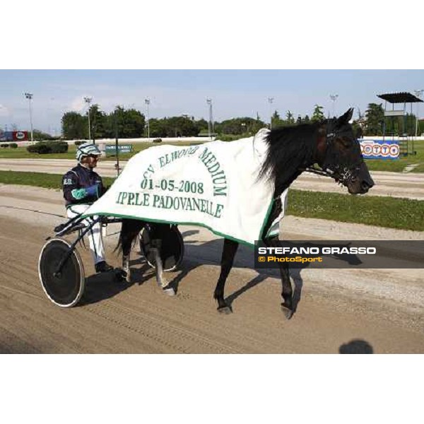 Marco Smorgon parades with Leonida Grif after winning the 105¡ Elwood Medium Padova, 1st may 2008 ph. Stefano Grasso