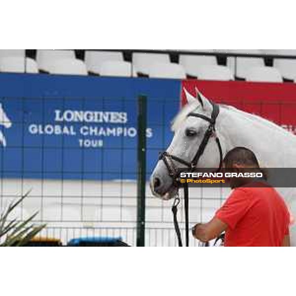 LGCT of Cannes - Vet check - Cannes, Stade des Hesperides - 6 June 2018 - ph.Stefano Grasso/LGCT