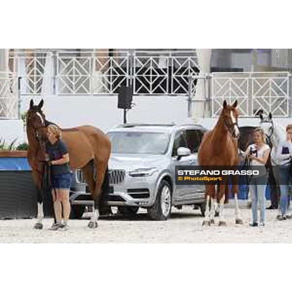 LGCT of Cannes - Vet check - Balguero - Cannes, Stade des Hesperydes - 6 June 2018 - ph.Stefano Grasso/LGCT