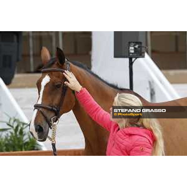 LGCT of Cannes - Vet check - RMF Swinny du Parc - Cannes, Stade des Hesperydes - 6 June 2018 - ph.Stefano Grasso/LGCT