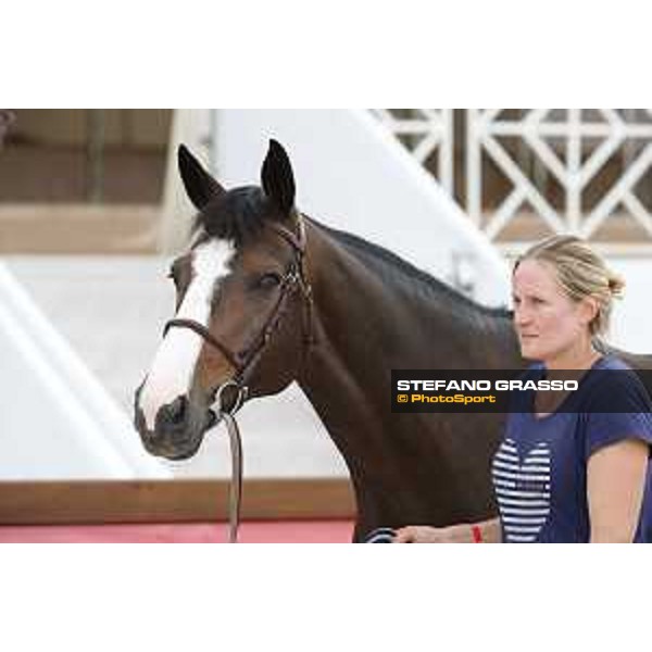 LGCT of Cannes - Vet check - Idi Utopia - Cannes, Stade des Hesperydes - 6 June 2018 - ph.Stefano Grasso/LGCT