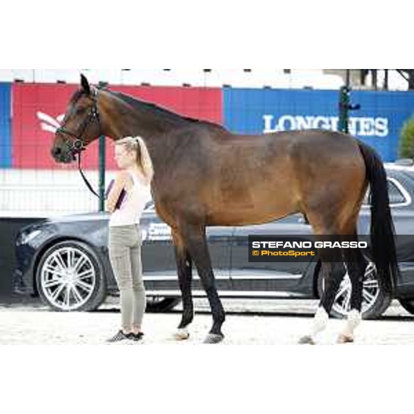 LGCT of Cannes - Vet check - Gunder - Cannes, Stade des Hesperydes - 6 June 2018 - ph.Stefano Grasso/LGCT