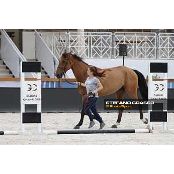 LGCT of Cannes - Vet check - Izmir van de Bayenne - Cannes, Stade des Hesperydes - 6 June 2018 - ph.Stefano Grasso/LGCT