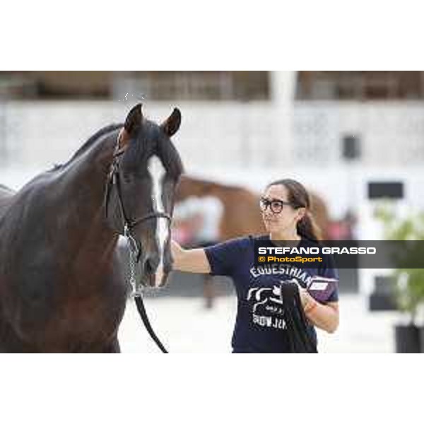 LGCT of Cannes - Vet check - Chilli Willy - Cannes, Stade des Hesperydes - 6 June 2018 - ph.Stefano Grasso/LGCT