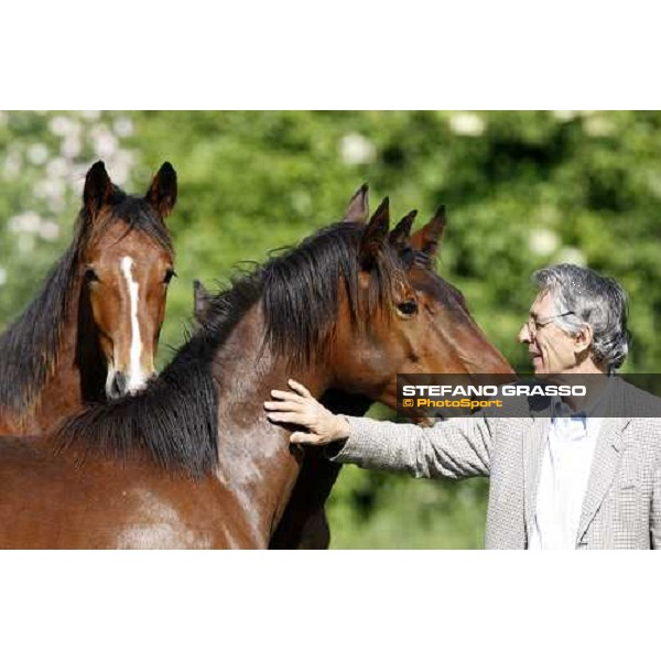 rag. Bruno Farneti, stud manager with some yearlings in the paddocks of Orsi Mangelli stud ANZOLA EMILIA (BO) - 6th may 2008 ph. Stefano Grasso