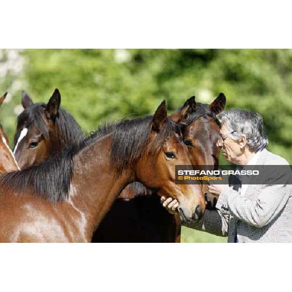 rag. Bruno Farneti, stud manager with some yearlings in the paddocks of Orsi Mangelli stud ANZOLA EMILIA (BO) - 6th may 2008 ph. Stefano Grasso 